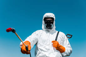 Best Pest Prevention Services  in Breckinridge Center, KY